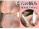 ジューンブライド(June Bride 61)の写真