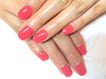 ネイルケアサロンエルミタージュ/ワンカラー