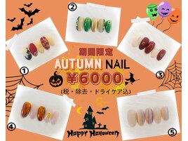 期間限定！Autumn　NAIL