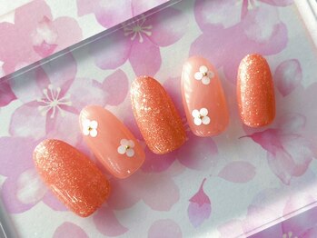 定額シンプルコース