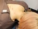 一樹鍼灸院の写真/信頼の技術で、辛い首肩のコリを根本から解消！施術後のスッキリ感が違う！腰痛・背中等のお悩みの方にも◎