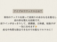 アリィ 国立店(Ali'i)/アイブロウワックスとは？