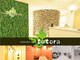 リラクゼーションサロン トトラ(totora)の写真