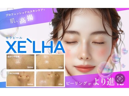 ベル(Belle)の写真