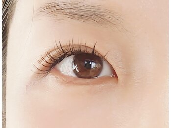 ジャポネスク(JAPONESQUE)/フラットラッシュつけ放題