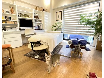 サキカイロプラクティック 麻布十番