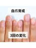 【自爪育成:ちび爪、丸い爪の方】自爪風の育成ジェル◎オイル付¥11990→