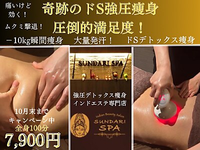 エステサロンでも使用！リンパインピーダンスII　新品未使用 エステサロンでも使用！リンパインピーダンスII 新品未使用 中古
