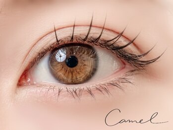 キャメル(camel)/【シングルラッシュ】120本