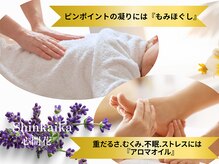 心開花 秋葉原(Shinkaika)
