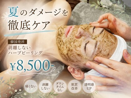 サンライズビューティーの写真