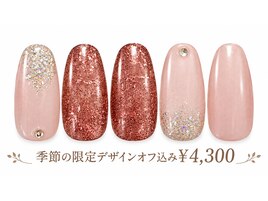 季節の定額デザイン￥4,300