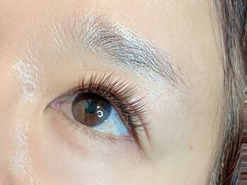 ラピスガーデン(LAPIS GARDEN)/アルファーラッシュ80本