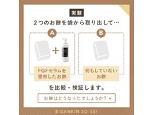 ジェルブラローズ(gerbera rose)/【テラボーラーとは】FGF