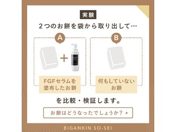 ジェルブラローズ(gerbera rose)/【テラボーラーとは】FGF