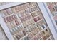 ドルチェ(DOLCE)の写真/【選べる定額大人上品シンプルネイル♪】季節やトレンドに合わせたデザイン多数有り☆初めての方にも◎