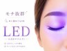 【新登場】高持続LEDフラットラッシュ100本◎コーティング仕上げ付き♪