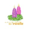 エヴァル(’ewalu)のお店ロゴ