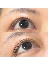 サーカス(circus)/ラッシュリフトブラウンロッド