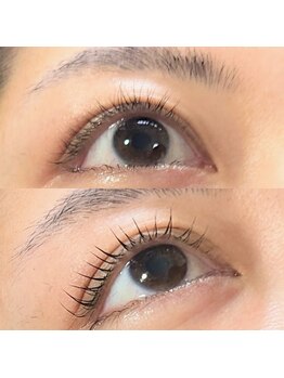 サーカス(circus)/ラッシュリフトブラウンロッド