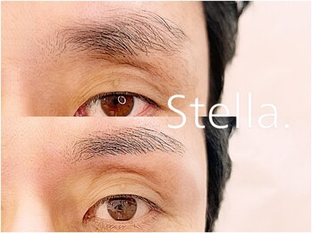 ステラ(Stella.)/メンズアイブロウ