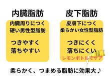 レモンボトルは内臓脂肪にも皮下脂肪にも効果あり?