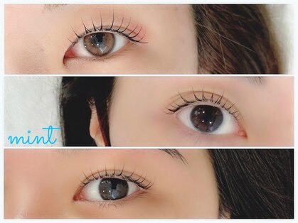 ミント(mint)の写真