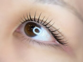 シルクアイラッシュ 横浜関内店(Silk eyelash)/