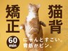 猫背改善コース45分＋セルフメンテナンス付き¥4,000