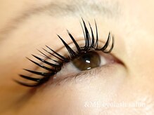 アンドミー(&ME)/バインドロック140束