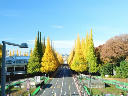 THE AROMA SPA AOYAMA ザアロマスパ青山【ボディ/フェイシャル】の写真