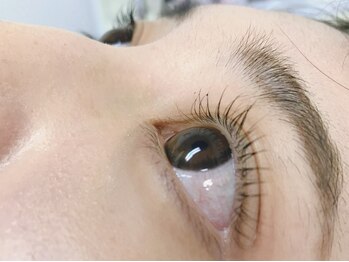 ファボ(FAVO)の写真/まつエクが出来ない方におすすめ◎ラッシュリフトで自まつ毛勝負☆カールの種類もお選びいただけます♪