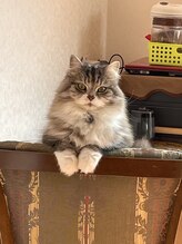 ヨサパーク メリア 奈良北(YOSA PARK MERIA)/気ままな猫