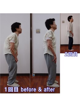 ワイルドボディ(WILD BODY)/姿勢矯正