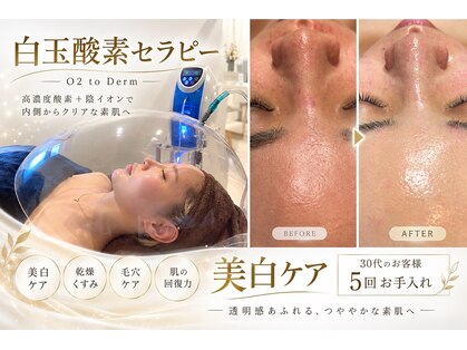 美人研究所の写真