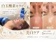 美人研究所の写真