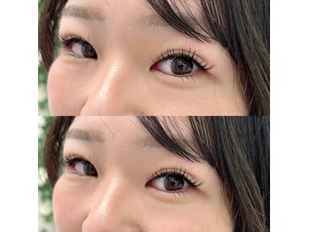アンジェリークアイラッシュ(Angelique Eye Lash)/フラットラッシュ120本