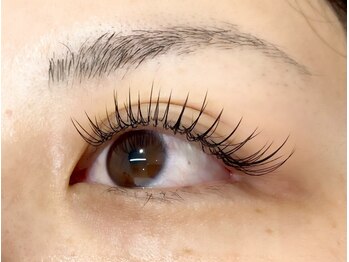 シュシュ(chou chou)/フラットラッシュ140本/マツエク