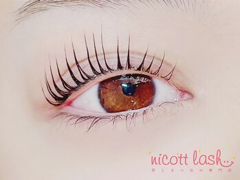ニコットラッシュ 梅田店(nicott lash)/まつげパーマ［梅田・マツパ］