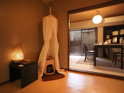 よもぎ蒸し専門店ECXIAの写真