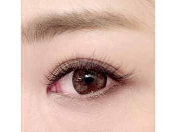 バードアイ(bird eye)/人気のブラウン