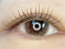 カシェ 吉野店 (cache)/秋の新色入荷