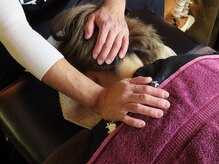 ジェイバランス(J.BALANCE)/施術風景