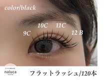 ナルカ(naluca)/【堺市・新金岡】フラット120本