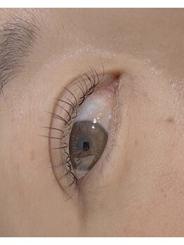 トキ(Toki)/バインドロック40束