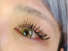 トランク(Trunk)/フラットラッシュ付け放題