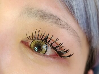 トランク(Trunk)/フラットラッシュ付け放題