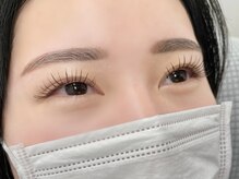 ルピナス 川口(Lupinus)/フラットラッシュ140本