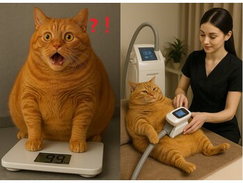 サロンドセレスト(Salon de Celeste)