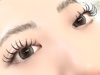 リブレ(Libre)/ダブルフラット80束(160本)